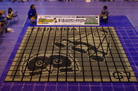 IMGP2915.JPG